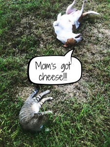 moms got cheese